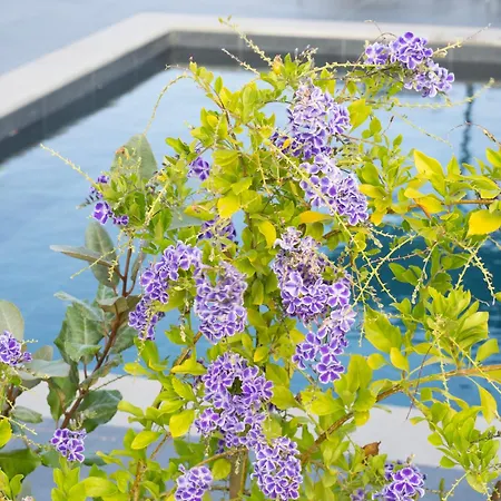 Sea Breeze Maistro 4per With Private Pool Вилла Кандия