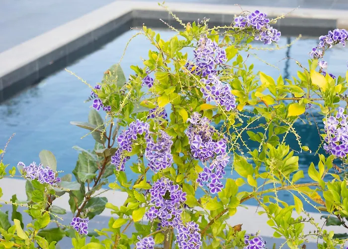 Sea Breeze Maistro 4per With Private Pool Villa Kandia